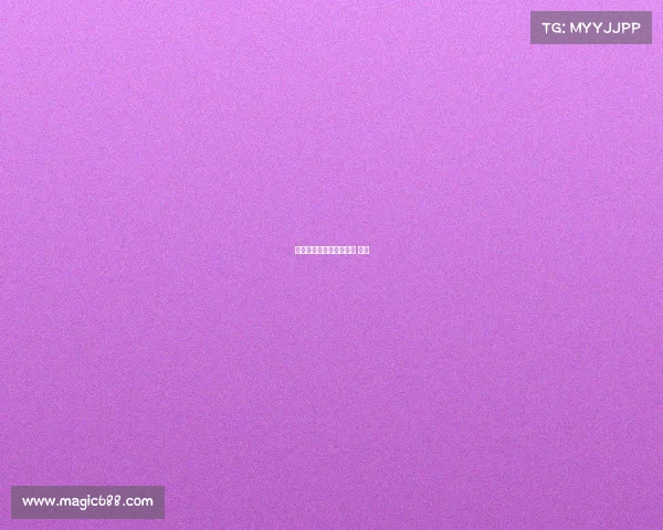 石家庄跑步赛事、石家庄 跑步